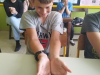 zivali-7
