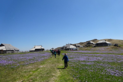 Planinski izlet - Velika planina