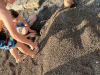 IMG-db0d39cbc5a6fc4df93b145f96dd6066-V